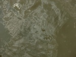58614CIMG3064.JPG