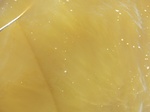 2012-09-21_14-25-32_CIMG0043.JPG