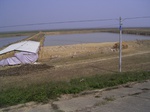2813 036.jpg
