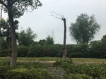 2017-09-11_22-20-37_9A0C2612-03DE-4C89-BD73-50559704D9CD.jpg