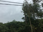 2017-09-10_06-56-14_FFD94FBD-0B0B-4226-A2E3-A6A1E8FC8C07.jpg