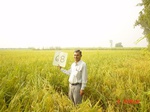 6578gt068-cropland-1.jpg