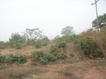3911RIMG0215.JPG