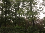 2017-09-10_20-32-38_D61A9F8F-7978-4005-B8BF-2DD44A10BE61.jpg