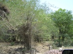 1789827042008(32).JPG