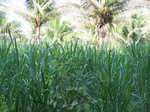 17597100_2534.JPG
