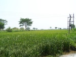478001052008(52).JPG