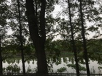 2017-09-10_20-41-51_AD1F2E90-54F5-453A-8715-68E267F694CA.jpg