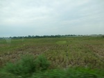 39612CIMG1712.JPG