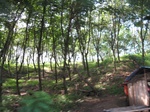 13980IMG_4286.JPG