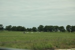 2022-06-12_15-25-22_84BE8AC4-C2D7-49ED-83A5-F8BC75F8A66B.jpeg