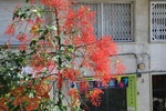 2018-11-20_11-48-48_2018-07-19 08.40.53.jpg