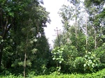 17542100_2803.JPG
