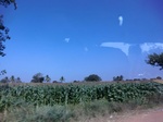 42288CIMG9573.JPG
