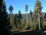 2012-09-10_08-45-26_ID-BR-2.jpg