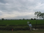 9862gt105a_cropland_rice.gif