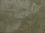 58609CIMG3059.JPG