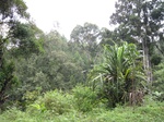 15312IMG_4150.JPG