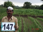 125430147c-irrigated-supplemental-lift-irrigation-mixedcrop-maize-millet-sorghum-onion-corriander.gif
