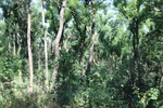 2025-07-15_15-08-35_8D101D01-8AB5-43B7-8F32-718209A214F4.jpeg