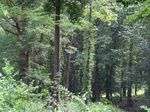 17496100_2751.JPG