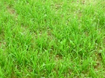 40176CIMG9073.JPG