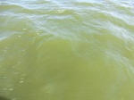 2012-09-21_14-25-38_CIMG0098.JPG