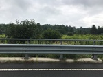 2017-08-16_09-53-12_E.jpg