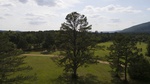 2017-06-12_13-57-39_DJI_0088.jpg