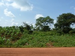 19820P1010670.JPG