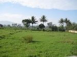 13927IMG_4216.JPG