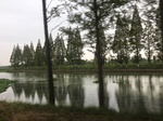 2017-09-10_20-42-02_C94A9198-7C2C-4872-A80F-3EEA18D7EA55.jpg