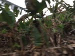 2018-02-24_09-23-13_20180223_IMG_5504.JPG