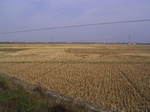3179R0017213.JPG
