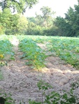 2012-09-07_23-46-16_NJ-GL-22.jpg