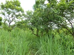 20719P1020576.JPG