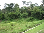 16140IMG_4885.JPG