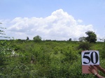 832050-scrubland-very-dwarf-valley-bottom-a.jpg