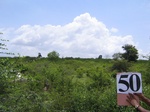 1051350-scrubland-very-dwarf-valley-bottom-a.gif