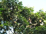 2012-10-17_19-50-06_393.JPG