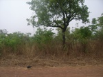 3965RIMG0269.JPG