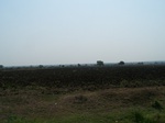 1772623042008(16).JPG
