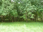 20404P1020261.JPG