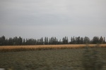 2019-10-16_11-58-27_4E8A3934.JPG