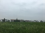 2017-09-10_07-07-11_00410990-362B-4A29-9874-887D3BF2C01D.jpg