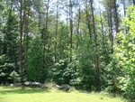 2017-05-29_11-53-44_DSC01295.JPG