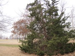 9773IMG_0050.JPG