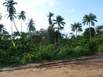 18331P1000167.JPG