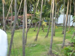 543310052008(50).JPG