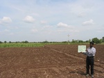7952gt82b_maize_grains_farmfallow.jpg